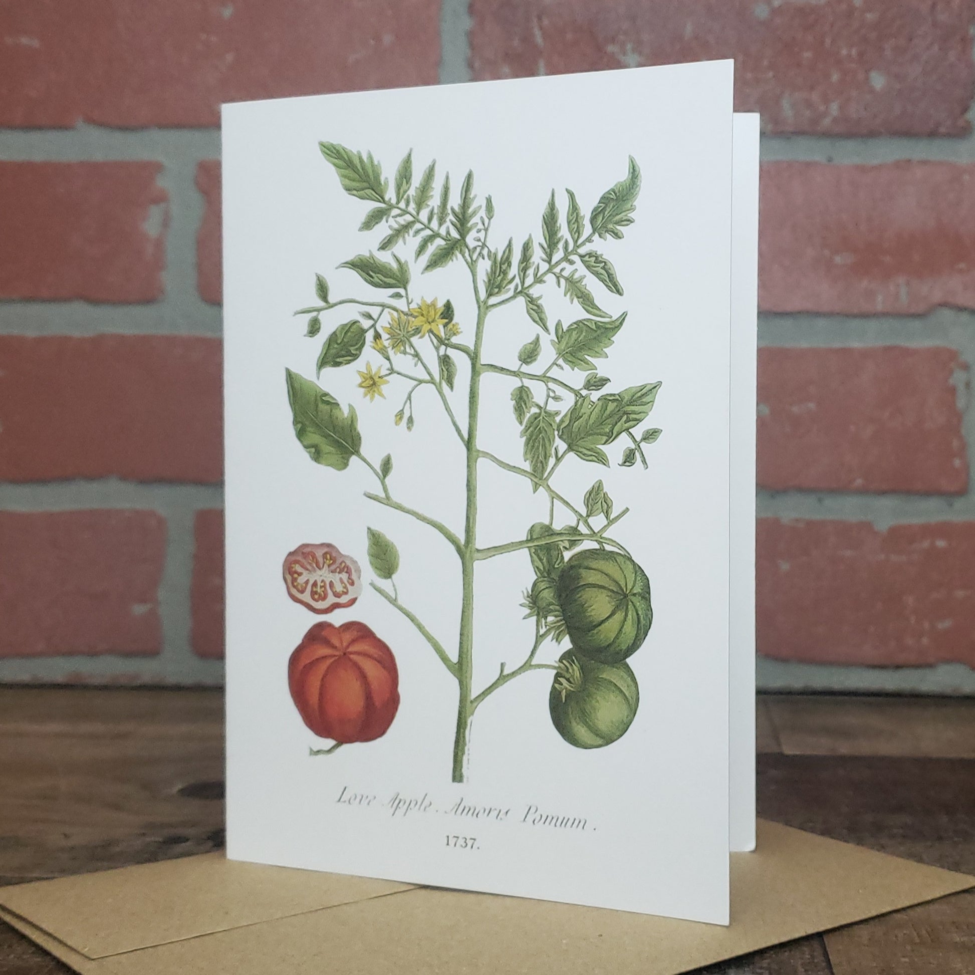 Botanical greeting card featuring vintage image of the Tomato {Love-Apple} plant by Elizabeth Blackwell c. 1737.  Designed and printed in the USA by Heart in Hand Mercantile.