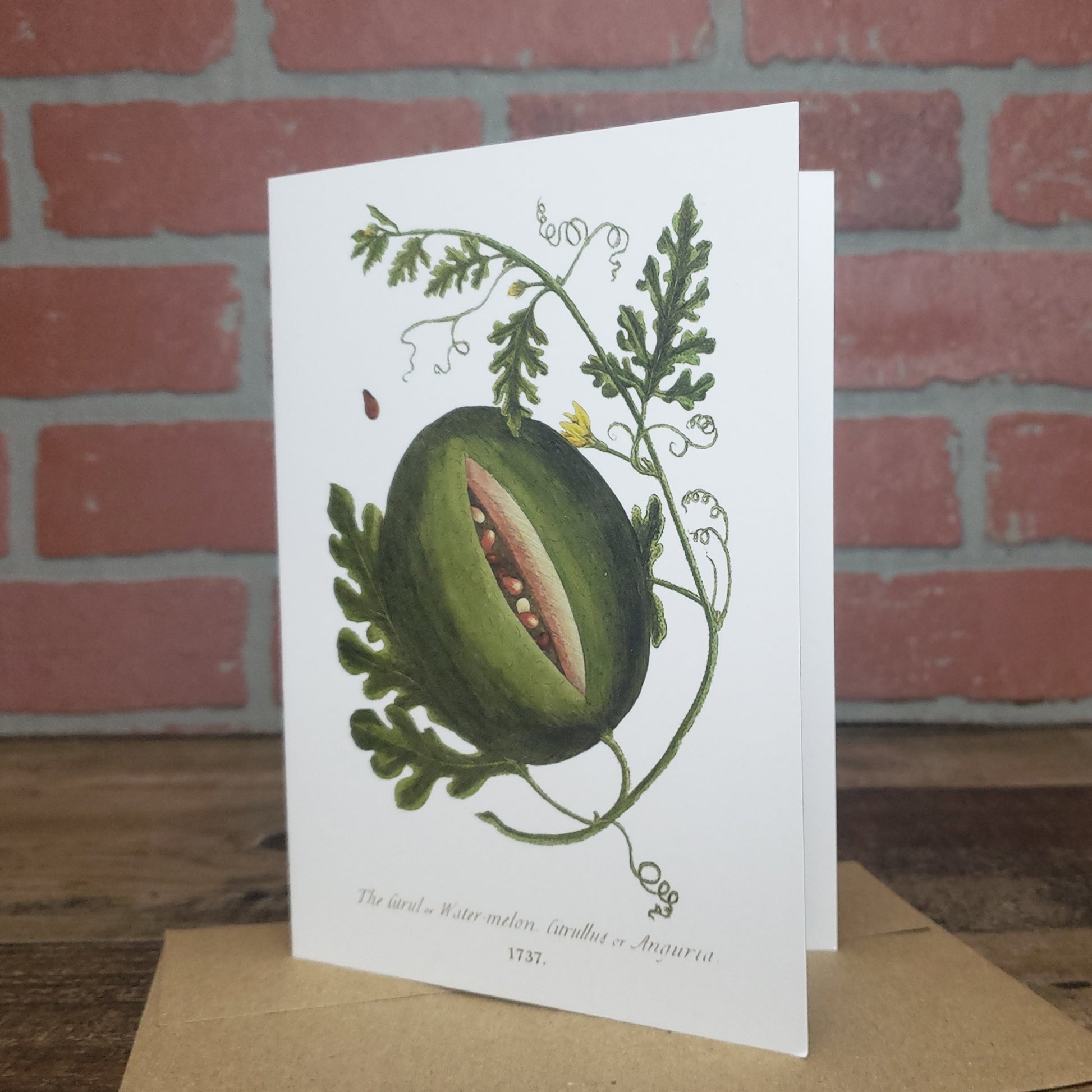 Botanical greeting card featuring vintage image of the Watermelon plant by Elizabeth Blackwell c. 1737.  Designed and printed in the USA by Heart in Hand Mercantile.