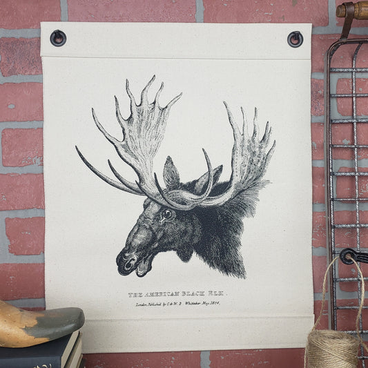 Vintage image of a Moose {American Black Elk} c.1824 screen printed on our Inked Canvas wall hanging, wall decor, or wall art. Hand made in the USA by Heart in Hand Mercantile using natural, unbleached 100% Cotton Heavy Duck Canvas and hung by two grommets. Two antique reproduction square nails included.