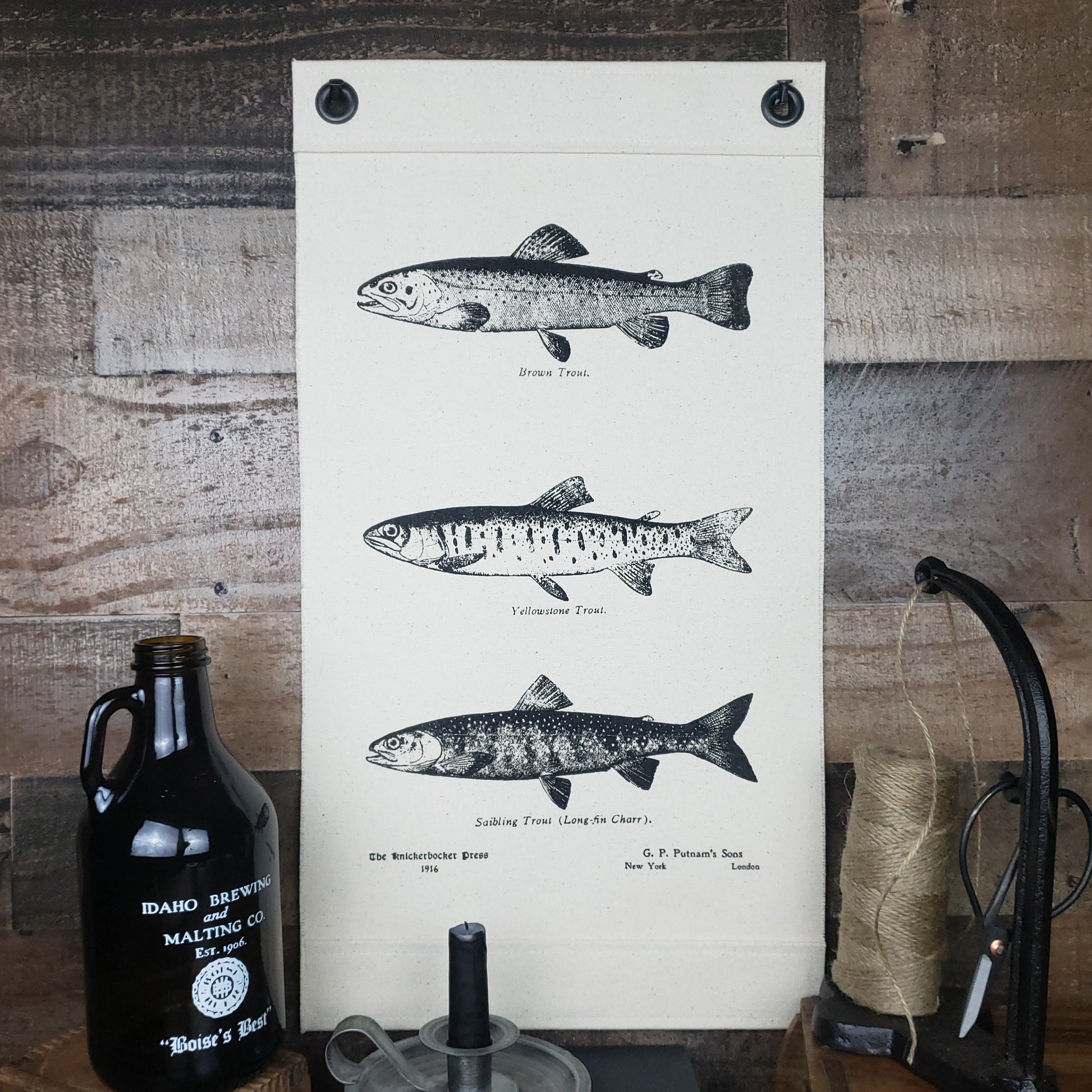 Inked Canvas wall hanging, wall decor, or wall art featuring engravings of Brown & Yellowstone Trout, & Char from a book of fish species published in 1916. Hand made in the USA by Heart in Hand Mercantile using natural, unbleached 100% Cotton Heavy Duck Canvas and hung by two grommets.