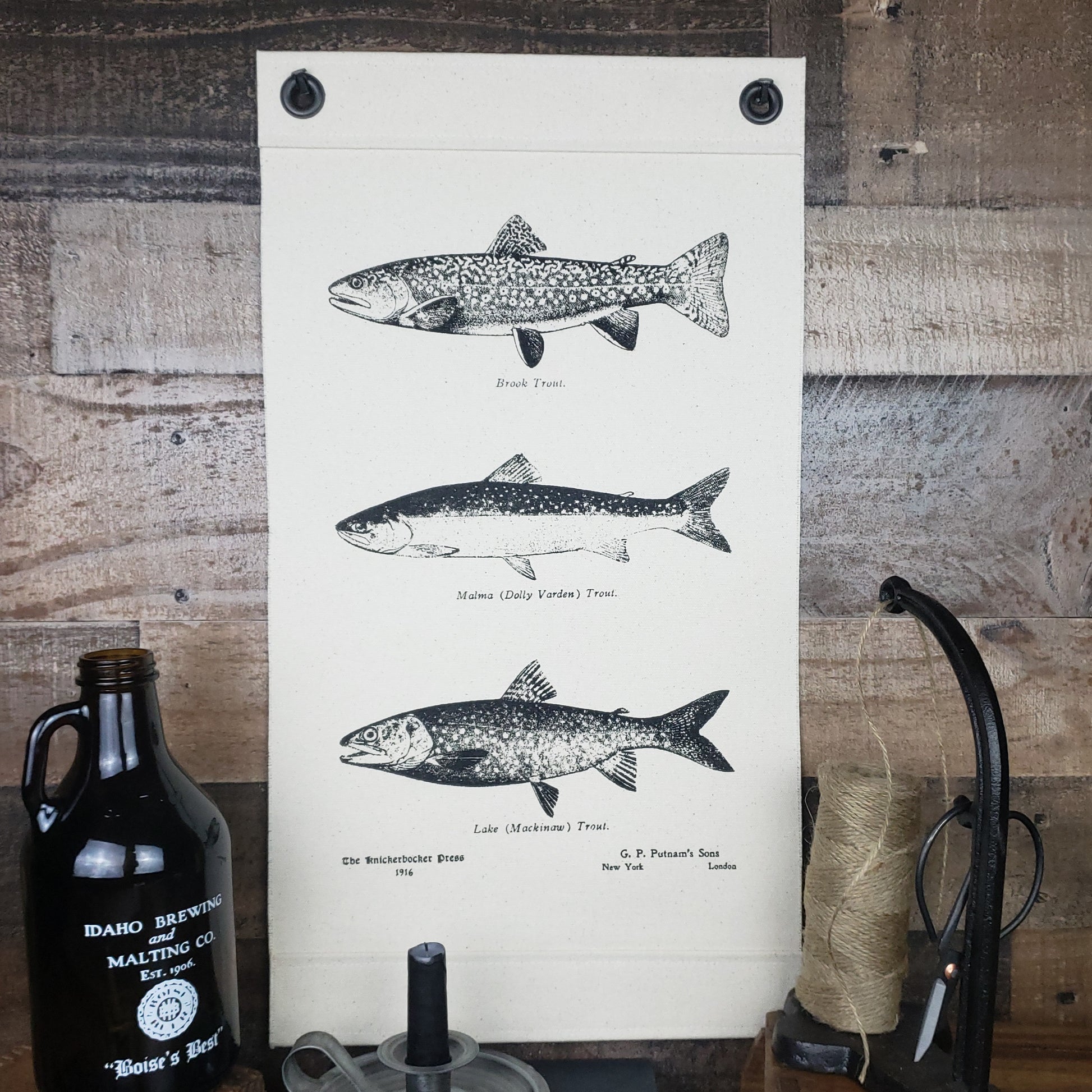 Inked Canvas wall hanging, wall decor or wall art featuring engravings of Brook, Dolly, & Lake Trout from a book of fish species published in 1916. Hand made in the USA by Heart in Hand Mercantile using natural, unbleached 100% Cotton Heavy Duck Canvas and hung by two grommets.