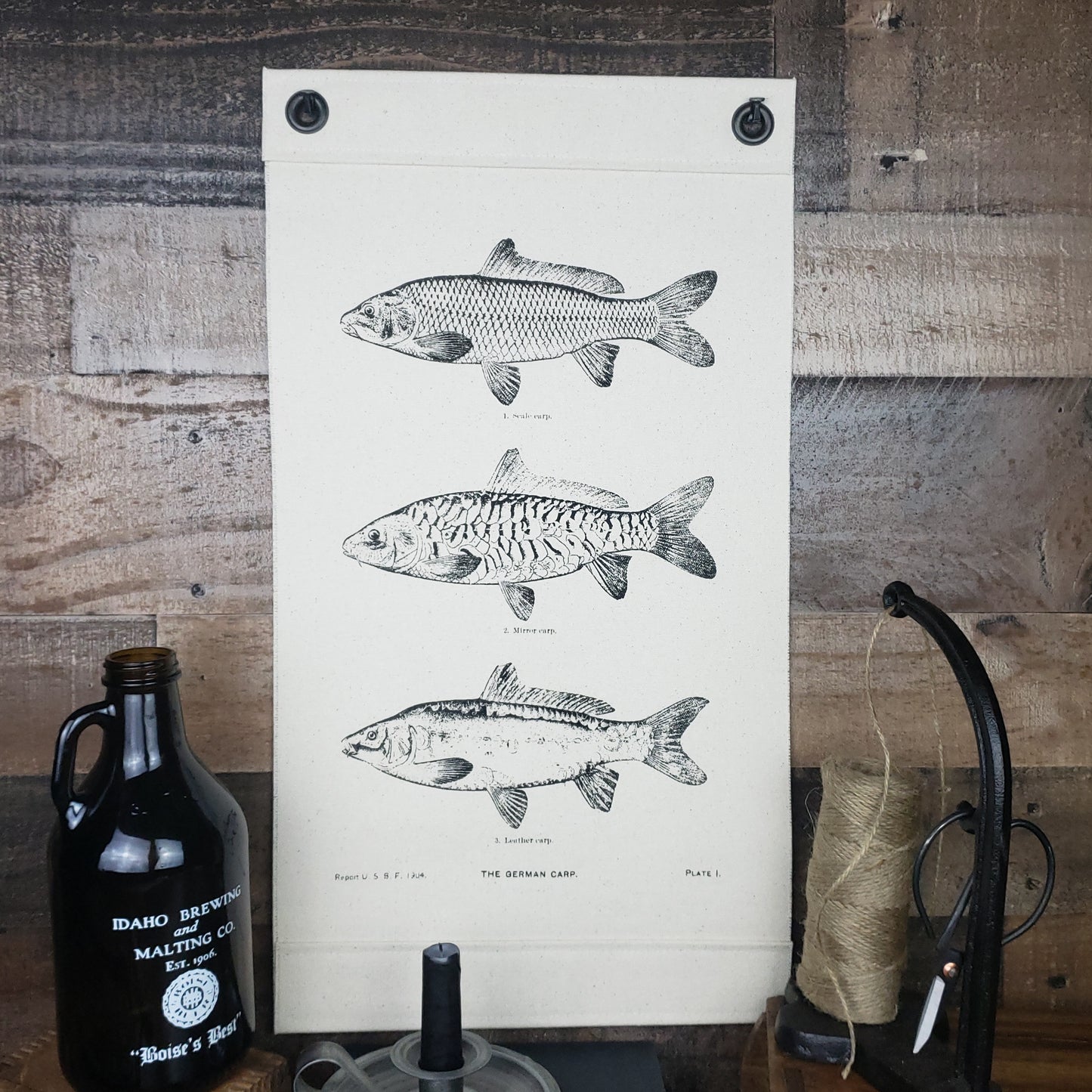 Inked Canvas wall hanging, wall decor, or wall art featuring fish! Three engravings of three carp species that appeared in a 1904 US Bureau of Fisheries publication. Hand made in the USA by Heart in Hand Mercantile using natural, unbleached 100% Cotton Heavy Duck Canvas and hung by two grommets.