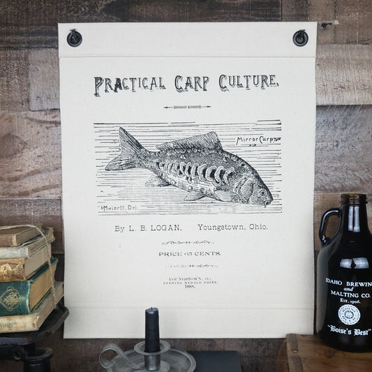 carp culture, image c.1888 - 16"x20" ink'd canvas wall art