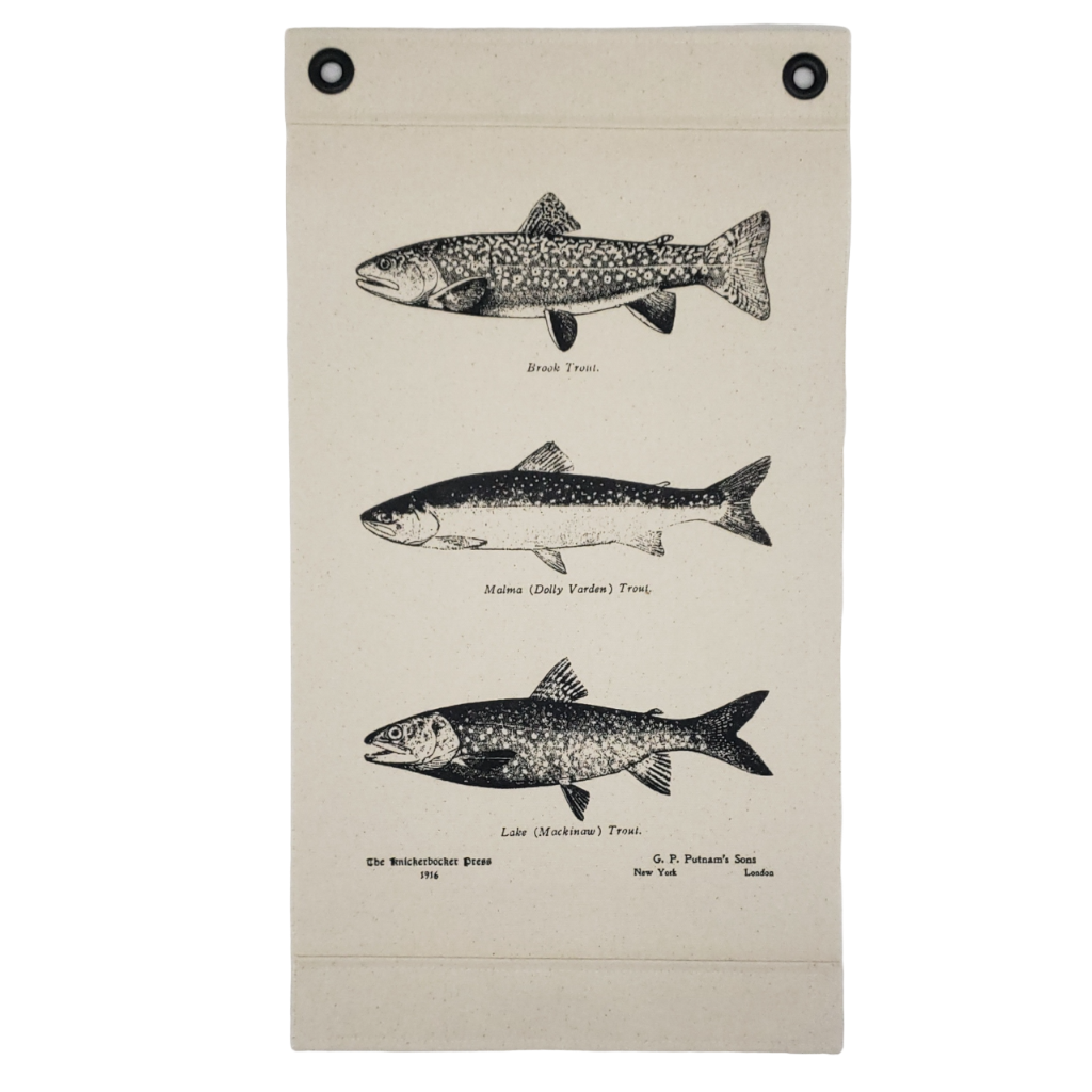 Inked Canvas wall hanging, wall decor or wall art featuring engravings of Brook, Dolly, & Lake Trout from a book of fish species published in 1916. Hand made in the USA by Heart in Hand Mercantile using natural, unbleached 100% Cotton Heavy Duck Canvas and hung by two grommets.