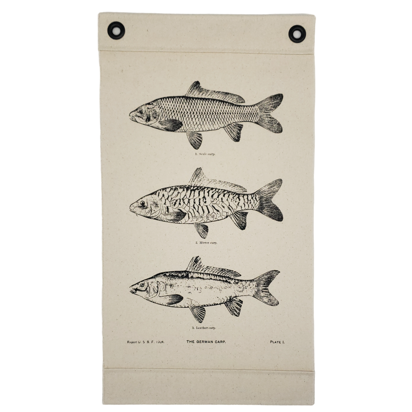 Inked Canvas wall hanging, wall decor, or wall art featuring fish! Three engravings of three carp species that appeared in a 1904 US Bureau of Fisheries publication. Hand made in the USA by Heart in Hand Mercantile using natural, unbleached 100% Cotton Heavy Duck Canvas and hung by two grommets.