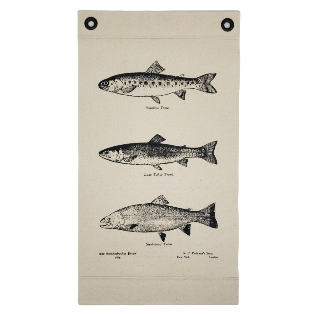 Inked Canvas wall hanging, wall decor or wall art featuring engravings of Rainbow, Lake & Steelhead Trout from a book of fish species published in 1916. Hand made in the USA by Heart in Hand Mercantile using 100% heavy cotton duck canvas.