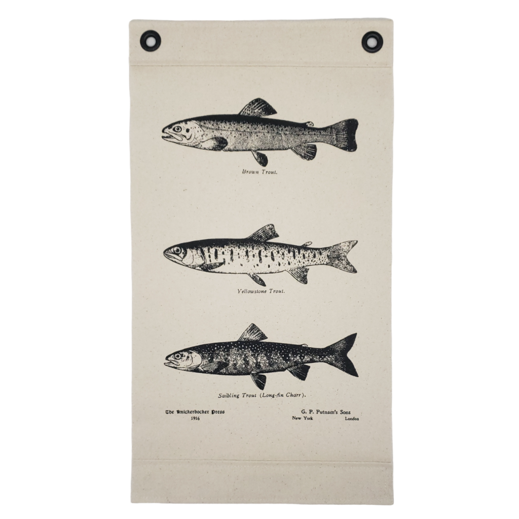 Inked Canvas wall hanging, wall decor, or wall art featuring engravings of Brown & Yellowstone Trout, & Char from a book of fish species published in 1916. Hand made in the USA by Heart in Hand Mercantile using natural, unbleached 100% Cotton Heavy Duck Canvas and hung by two grommets.